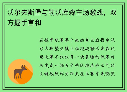 沃尔夫斯堡与勒沃库森主场激战，双方握手言和